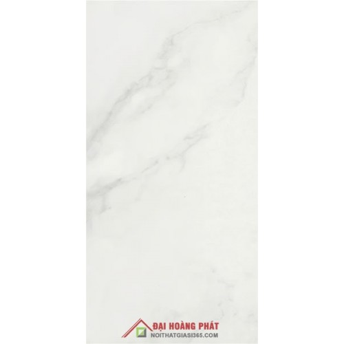 Bóng kiếng TAICERA 60x30cm PC600*298-418N